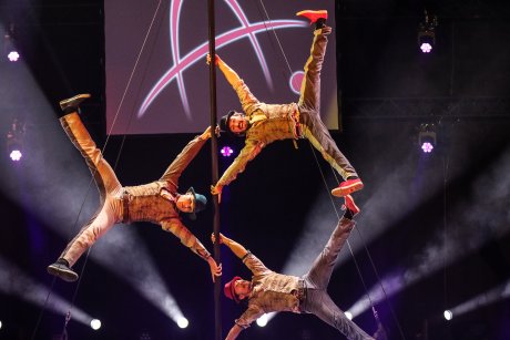 Funky Monkeys Funky Monkeys