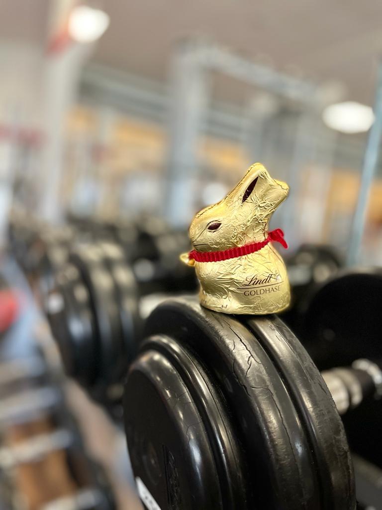 Osterhase im Fitnessstudio Osterhase im Fitnessstudio