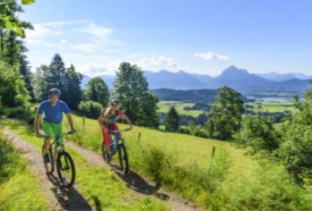 Radfahren kurbelt die Myokin-Ausschüttung an Radfahren kurbelt die Myokin-Ausschüttung an